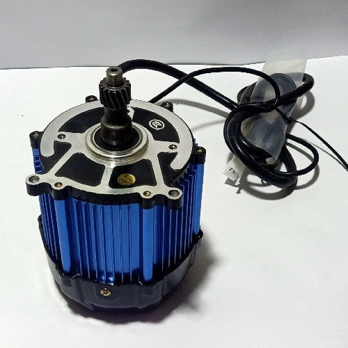 BUY LION EV RICKSHAW MOTOR ONLY 48V/60V 1000W BEST PRICE – lionev