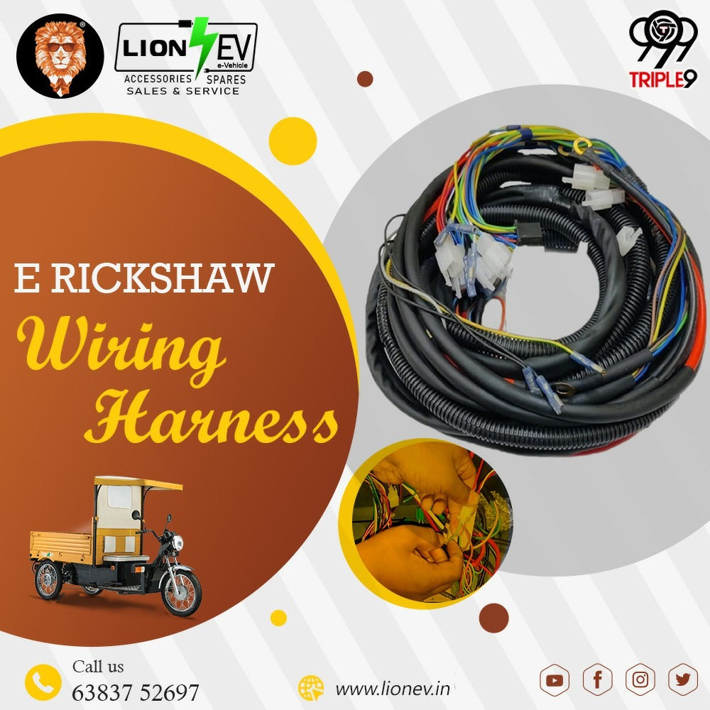 E Rickshaw Connection Buy E- RICKSHAW WIRING HARNESS LION EV in best price. – Lion EV