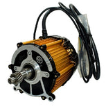 LION EV, e rickshaw, E Rickshaw Bldc Motor, e rickshaw 48v 1000w bldc motor.