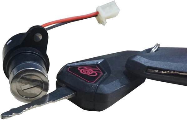 LION EV FLIP KEY