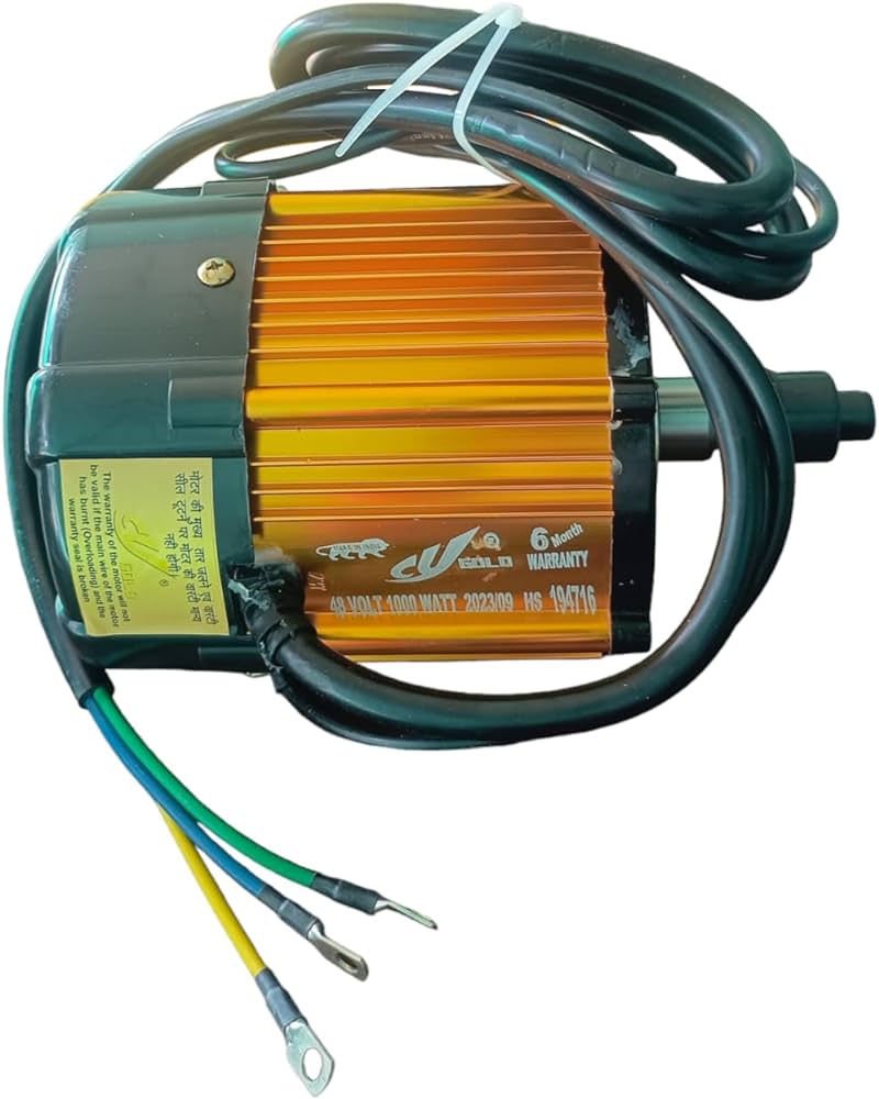 Cy Gold 48 Volt 1000 Watt Motor LION EV CY GOLD 48V/60 BLDC MOTOR
