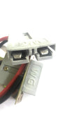 TRIPLE 9 E- RICKSHAW  CHARGING SOCKET LION EV