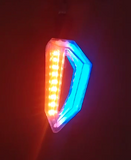 LION EV INDICATOR