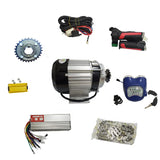 48V 1000W PEDAL RICKSHAW MOTOR KIT LION EV