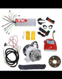 48V 1000W PEDAL RICKSHAW MOTOR KIT LION EV